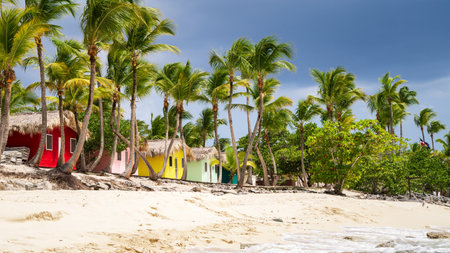 Colorful houses on Catalina Beach, Dominican Republic with palm treesの写真素材