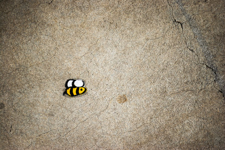 Bee drawn on asphalt of the city streetの写真素材