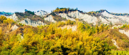 Amazing Beautiful cloud fog and mist with yellow bamboo and hillの写真素材