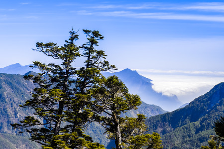 The Last Light over Hehuan Ranges, Taroko National Park, Taiwanの写真素材