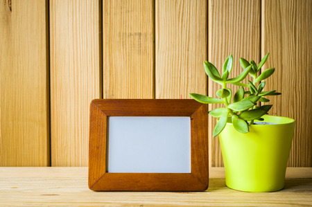 Indoor plant on wooden table and white wallの写真素材