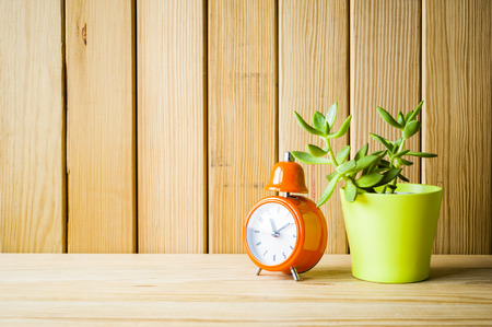 Indoor plant on wooden table and white wallの写真素材