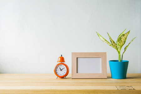 Indoor plant on wooden table and white wallの写真素材