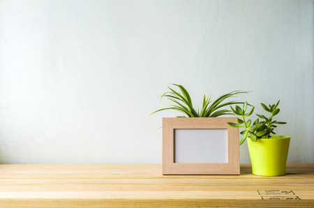 Indoor plant on wooden table and white wallの写真素材