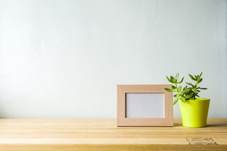 Indoor plant on wooden table and white wallの写真素材