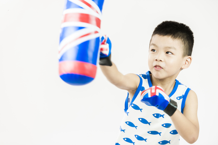little boxer isolated on white backgroundの写真素材
