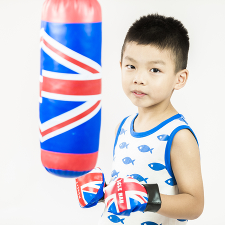little boxer isolated on white backgroundの写真素材