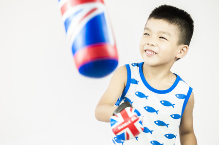 little boxer isolated on white backgroundの写真素材