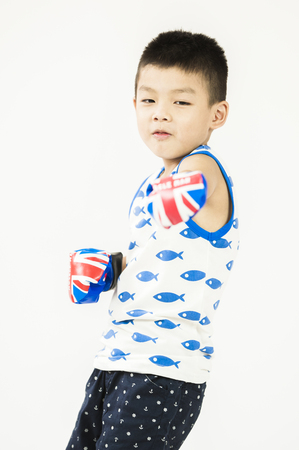 little boxer isolated on white backgroundの写真素材