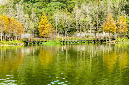 Nostalgic trend lumber industry pool in Checheng, Nantou, central of Taiwan near Sun Moon Lake.の写真素材