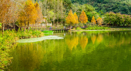 Nostalgic trend lumber industry pool in Checheng, Nantou, central of Taiwan near Sun Moon Lake.のeditorial素材