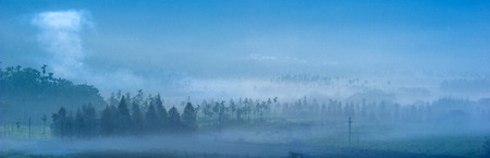 TouSher Basin Wetland in Taiwanの写真素材