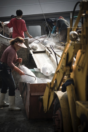Kaohsiung, Taiwan - May 18, 2016: Workers in Qianzhen Fishing Port are busy unloading the catchのeditorial素材