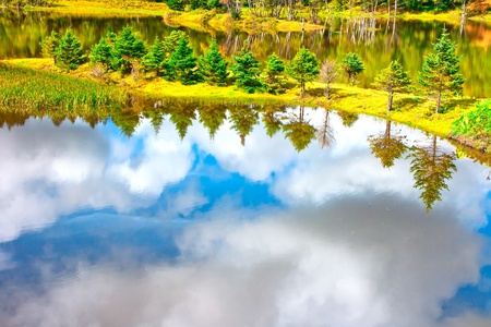 Pudacuo national park . Taken in the Shangri-La Yunnan Chinaの写真素材