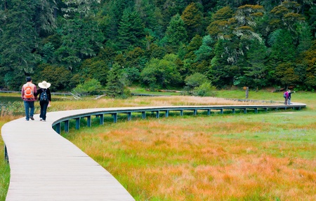 Pudacuo national park . Taken in the Shangri-La Yunnan Chinaのeditorial素材
