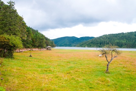 Pudacuo national park . Taken in the Shangri-La Yunnan Chinaの写真素材