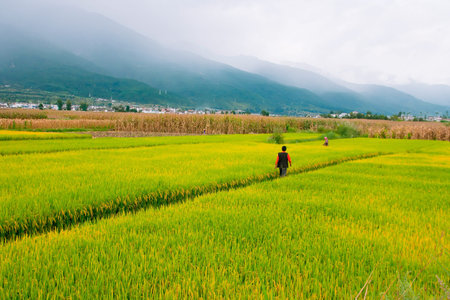 Rural scenery.Taken in the Dali Yunnan Chinaの写真素材