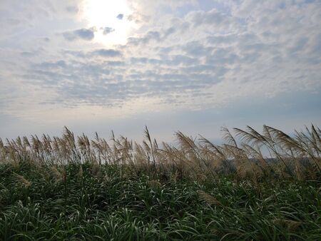 Sun mountain sceneの写真素材