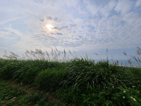 Sun Ocean mountain sceneの写真素材