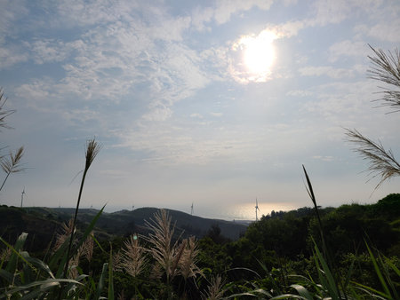 Sun Ocean