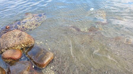 Ocean rocksの写真素材