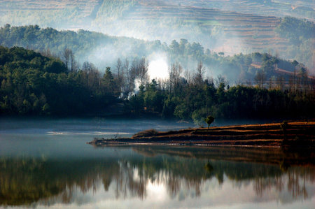 The fog of the morning