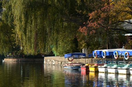 parkのeditorial素材