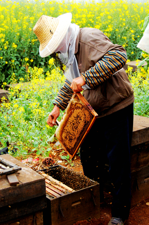 Beekeepers, China, Yunnan, Luopingのeditorial素材