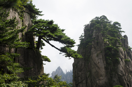 Mount Huangshanのeditorial素材