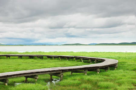  The wetland marshes from west of china の写真素材