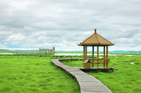  The wetland marshes from west of china の写真素材