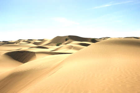  Gold desert in sunset  Canary Islands, Canaries  Grand Canary  Maspalomas, Resort Town  の写真素材