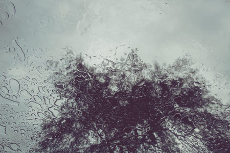 a reflection of the tree from the car windowの写真素材