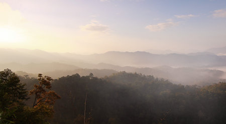 Panern Tung,Nation Park Petchaburi, Thailand