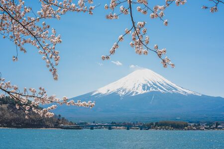 mt.Fuji in kawaguchiko lake,Kawaguchiko lake of Japan,Mount Fuji, Kawaguchi Lake, Japan,with,Spring Cherry blossoms, pink flowers,Cherry blossoms or Sakura and Mountain Fuji at the river in morningの写真素材