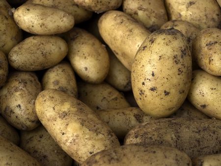potatoeの写真素材