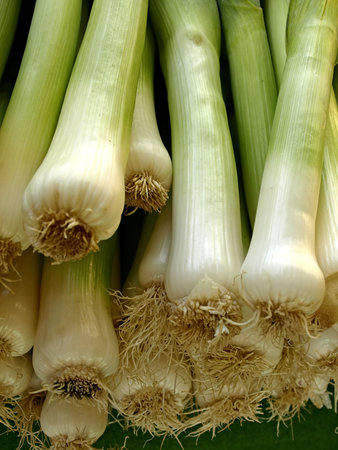 leek