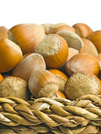 close-up of hazel nutsの写真素材