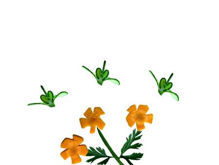 picture made of carrots and cucumber with  flowers and butterfliesの写真素材