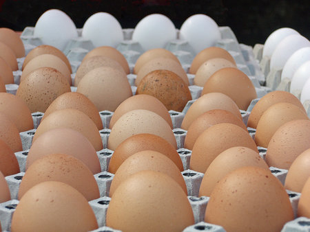 eggs at a street sale