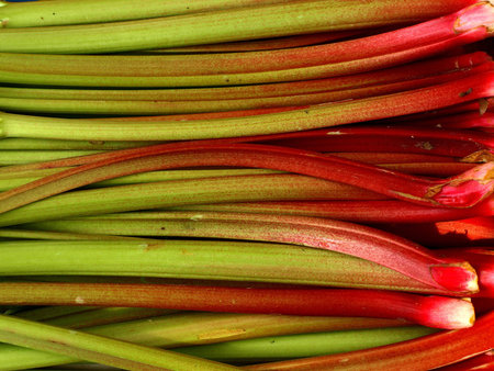 rhubarb at a street saleの写真素材