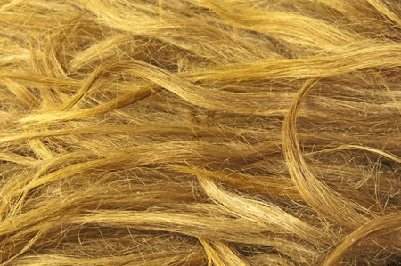 closeup of a sheepskin rugの写真素材