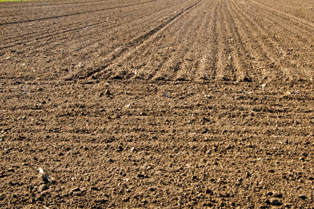 acre with fine crumbs