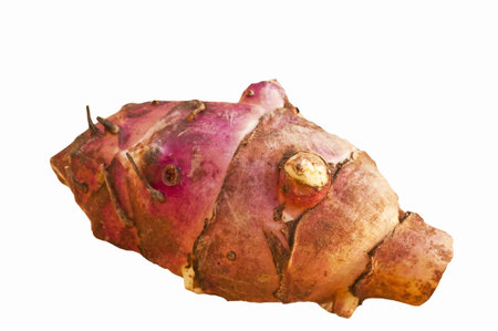 Jerusalem artichoke