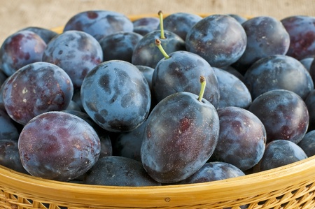 damson の写真素材