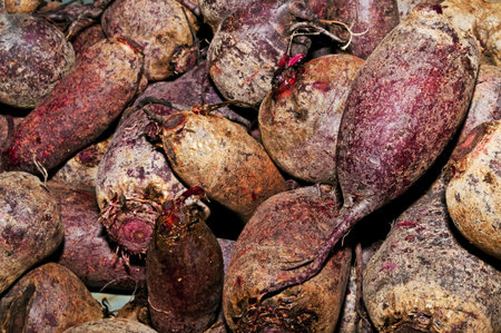 beetroot