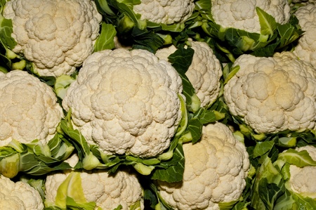 cauliflower at a farmer marketの写真素材