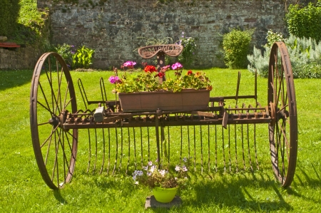 old tedderの写真素材