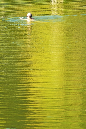 swimming man in evening lightの写真素材