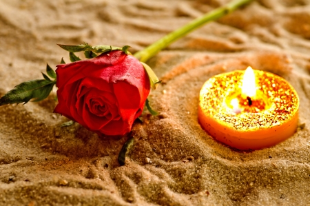 Tea light with rose on a beachの写真素材